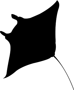 manta-ray-black-silhouette2.png